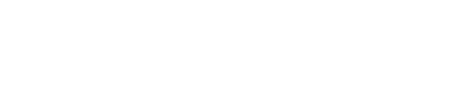 Irish Economic Forum